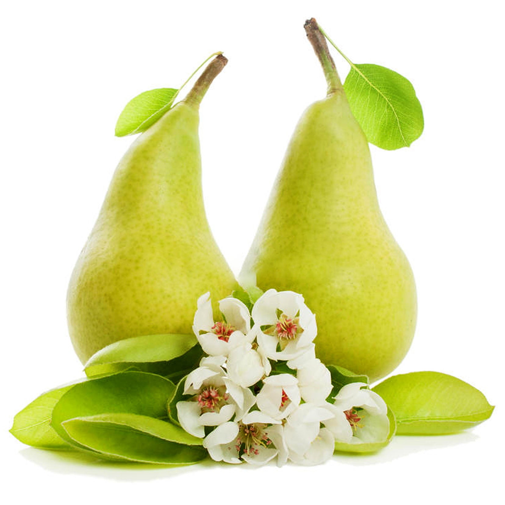 English Pear & Freesia Fresh Fragrance Oil | Truly Personal | Candles, Wax Melts, Soap, Bath Bombs