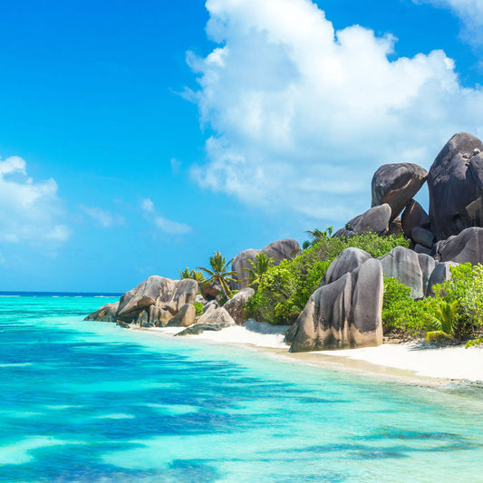 Seychelles Beach Breeze Fragrance Oil | Truly Personal | Candles, Wax Melts, Soap, Bath Bombs