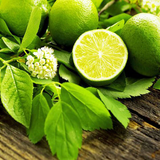 French Lime Blossom Fragrance Oil | Truly Personal | Candles, Wax Melts, Soap, Bath Bombs