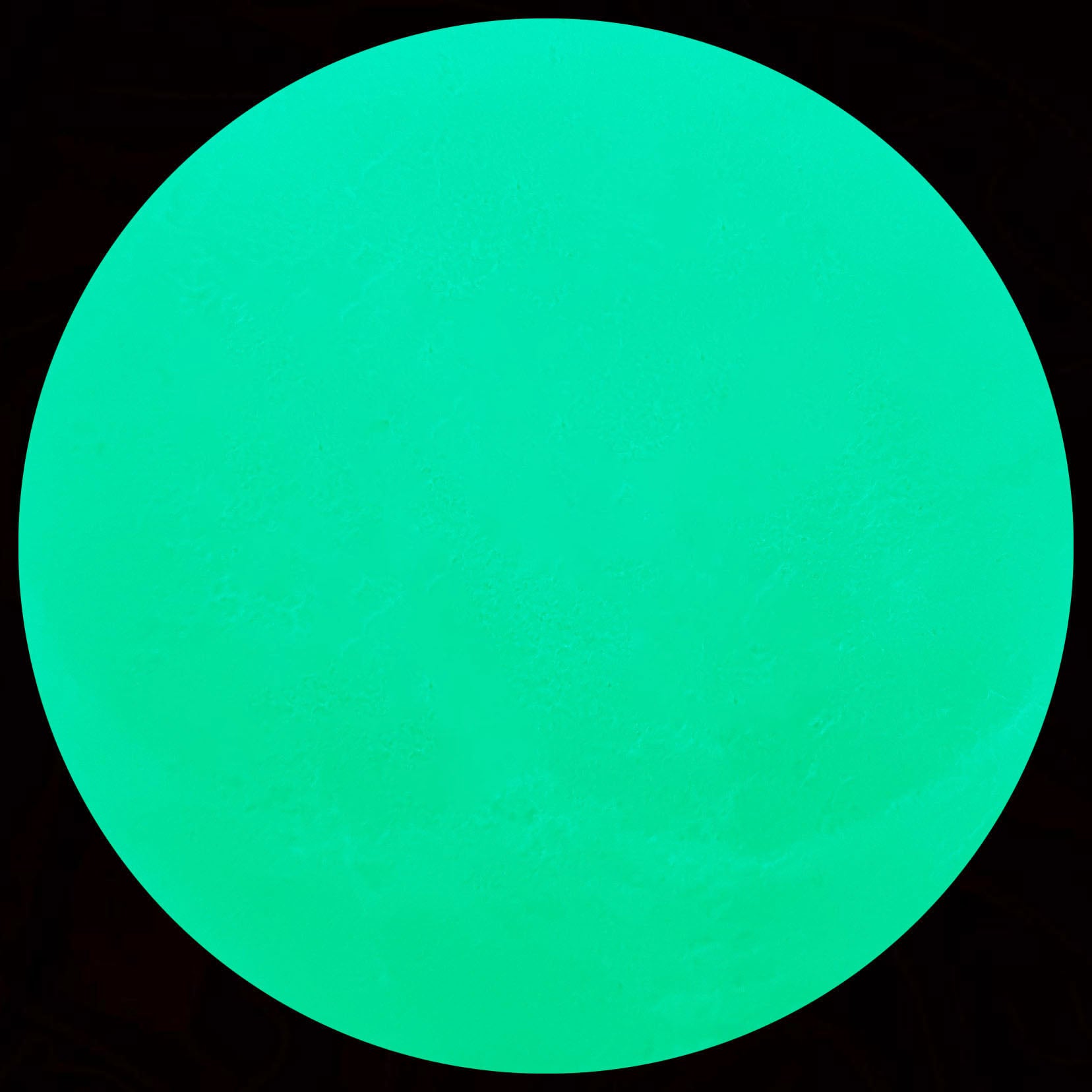 Green Comet | Cosmetic Glow In The Dark Pigment Dye | Truly Personal | Wax Melt Glitter