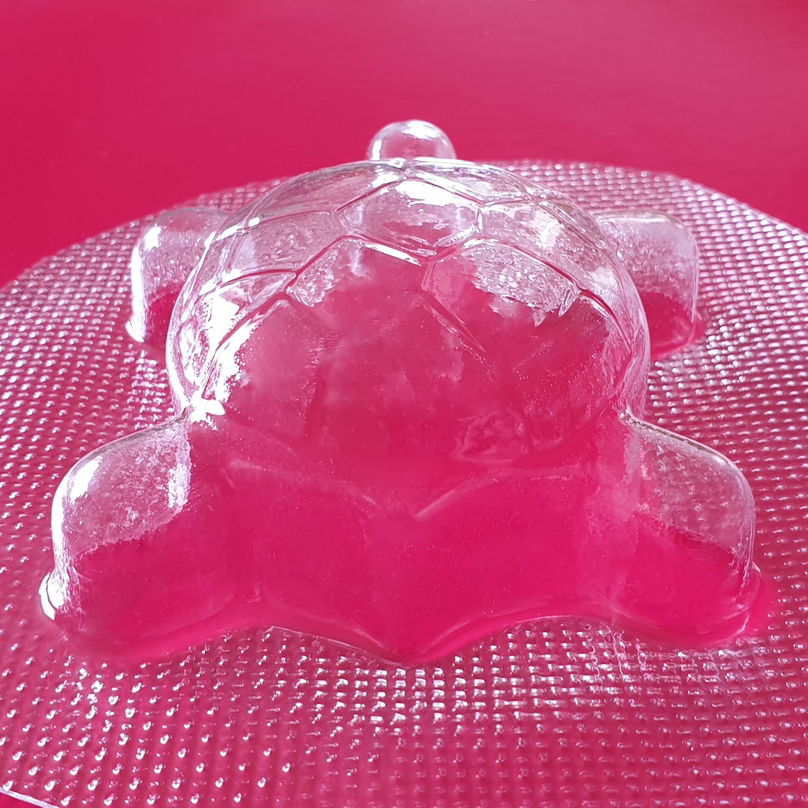 Turtle Mould | Truly Personal | Bath Bomb, Soap, Resin, Chocolate, Jelly, Wax Melts Mold